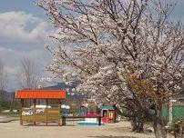 山口短期大学附属幼稚園